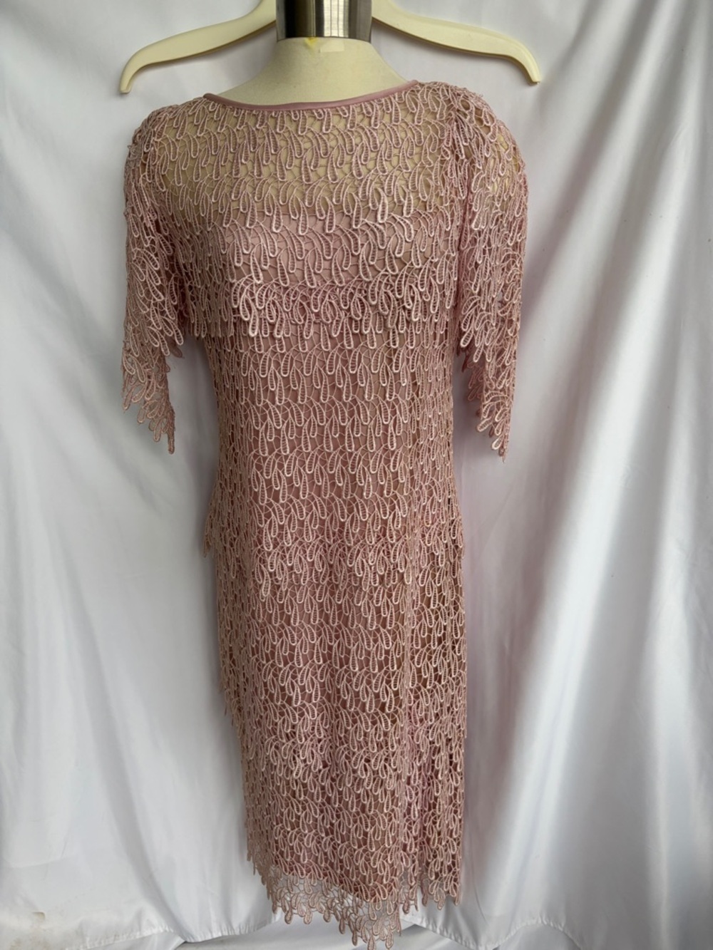 Vintage 70s Pink Formal Dress & Lace Elegant Cottagecore SZ 12, 19” PTP, 44” L